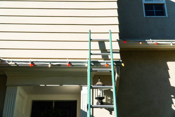 Best Storm Damage Siding Repair  in Rainsville, AL