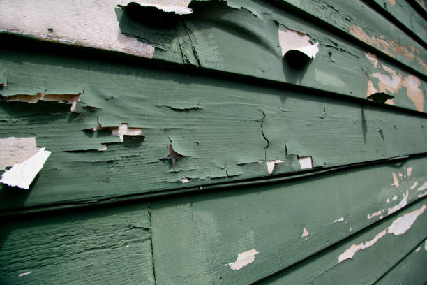 Best Wood Siding Installation  in Rainsville, AL