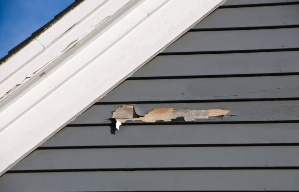 Best Stucco Siding  in Rainsville, AL